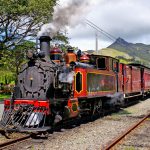 blog (15)